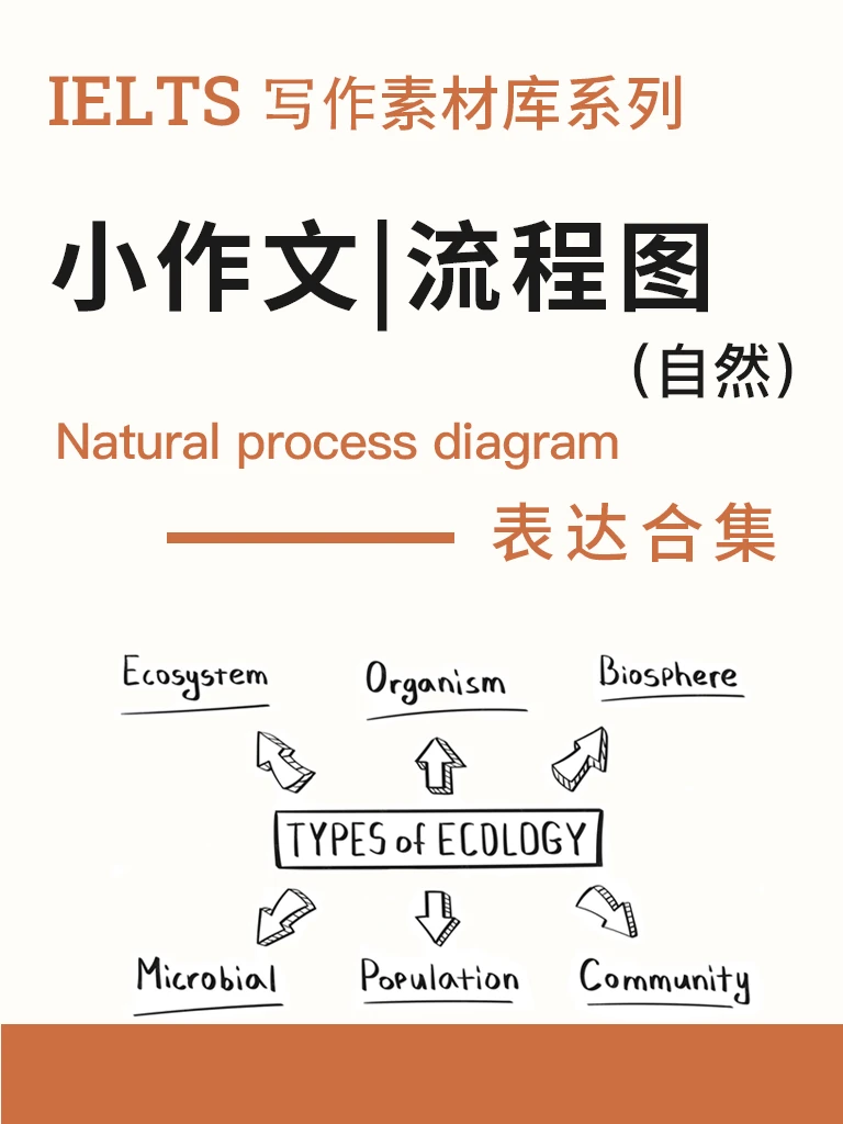 Task 1 · 流程图（自然）· 短句速成